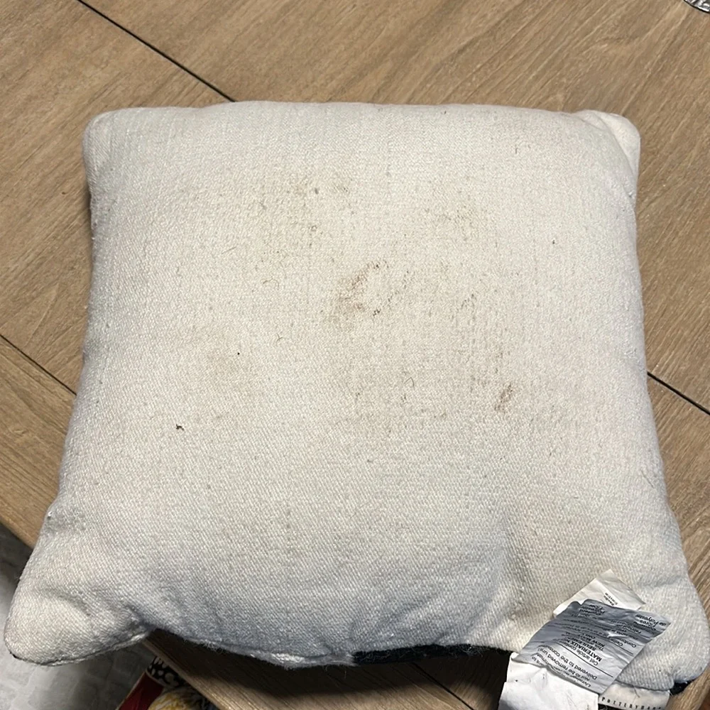 Pottery Barn outdoor pillow